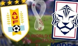 世界杯最新爆料信息,最新爆料揭秘神秘战局