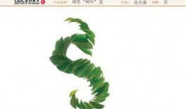 树叶最新爆料文案短句,揭秘娱乐圈最新幕后故事