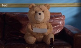 泰迪熊1在线观看免费